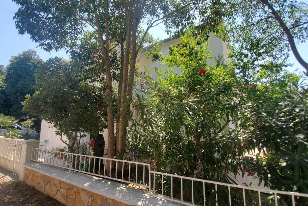 Апартаменты Casa Blanca, Биоград-на-Мору Экстерьер фото